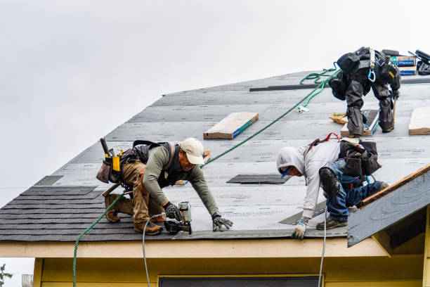 Professional Storm Damage Roof Repair technician working in Zavalla, TX